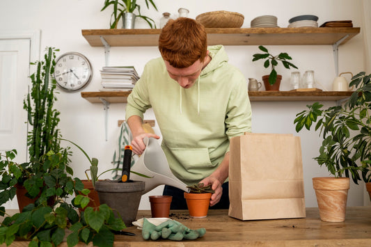 Ultimate Guide to Eco-Friendly Household Essentials: Clean Green, Live Clean